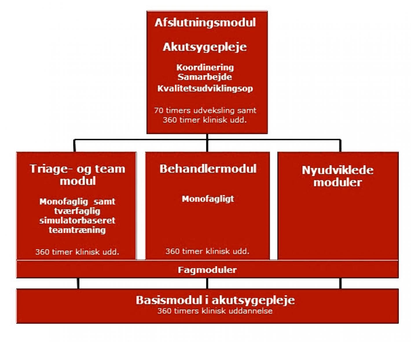 Diagram over akutsygeplejerske uddannelsens opbygning