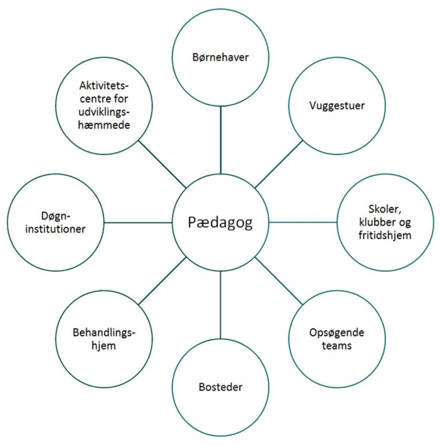 Pædagog. Diagram over karrieremuligheder