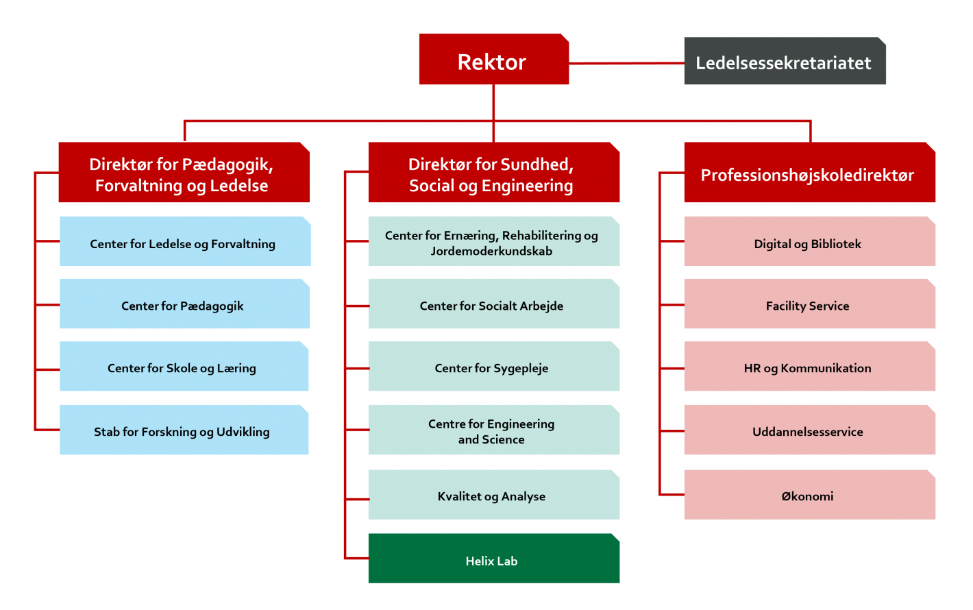 organisationsdiagram