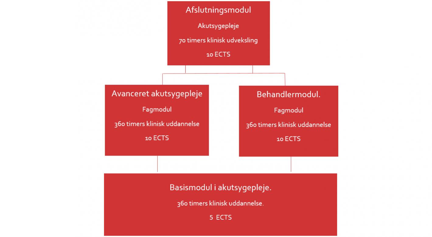 Figur der viser uddannelsens moduler