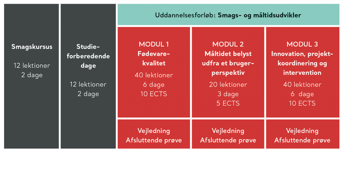 Illustration af uddannelsesforløbet