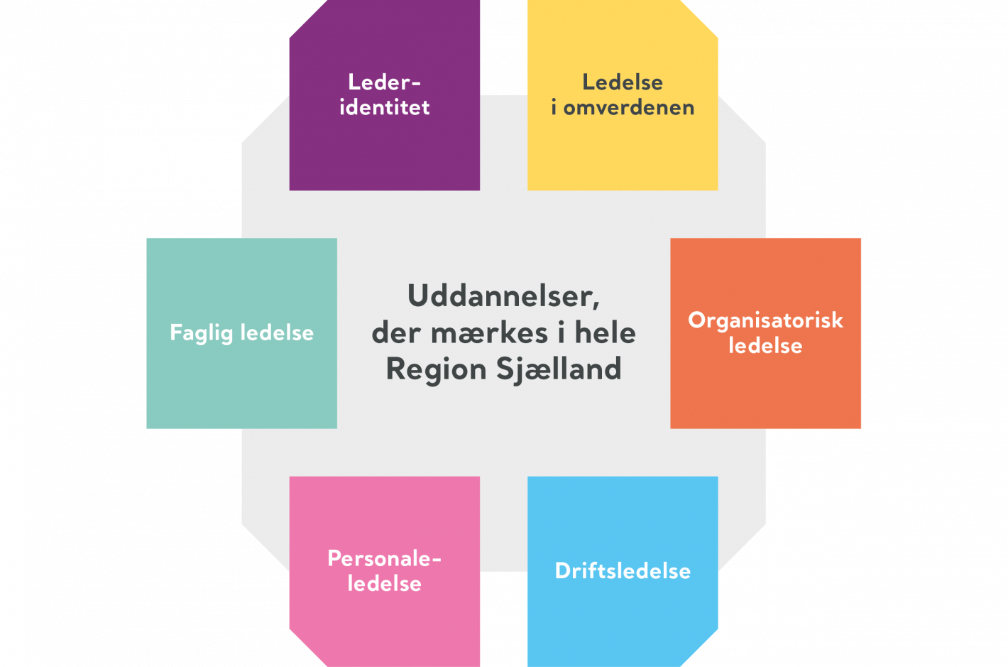 Model af ledelsesgrundlag