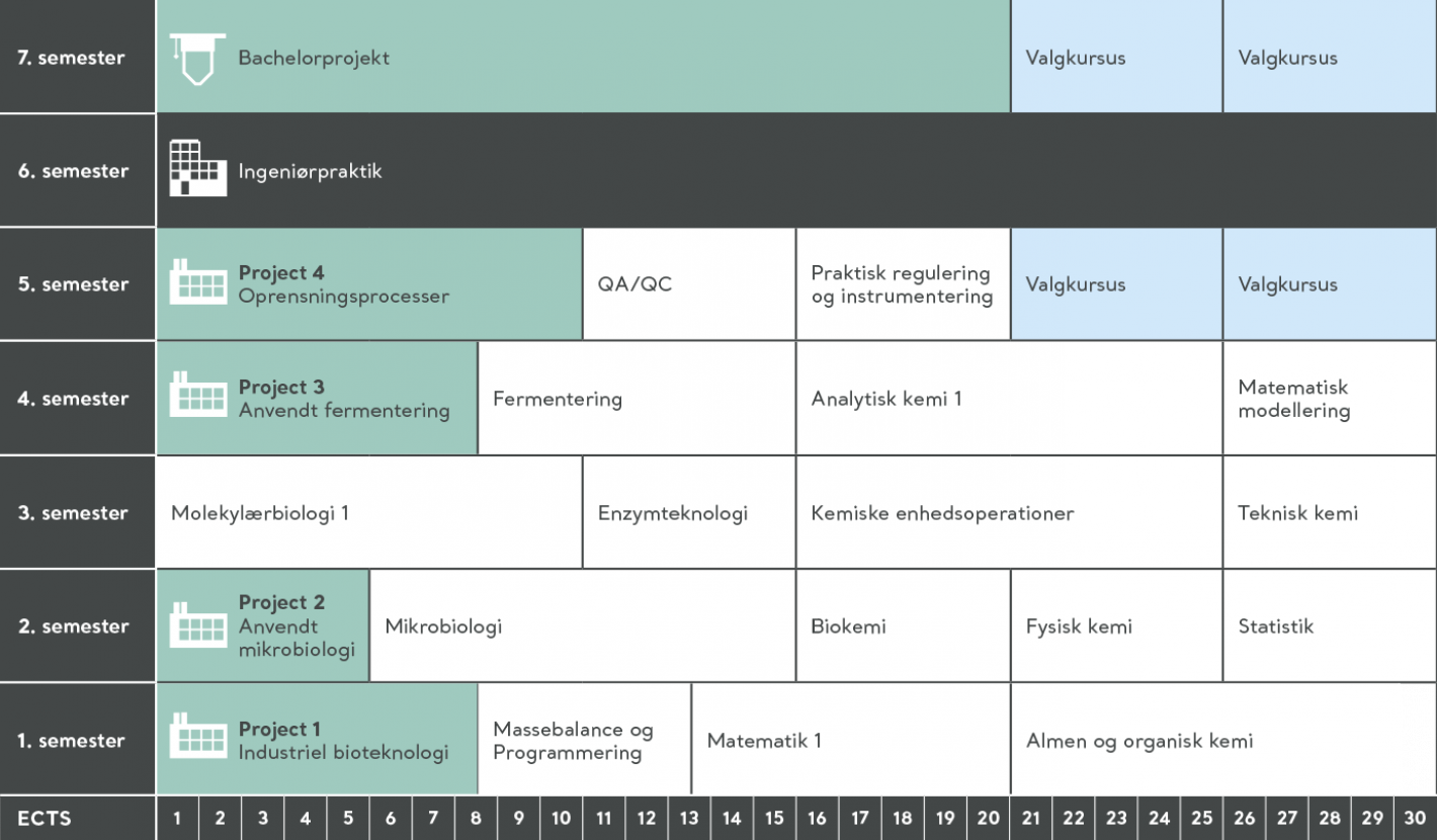 semesterskema bioteknologi 2023