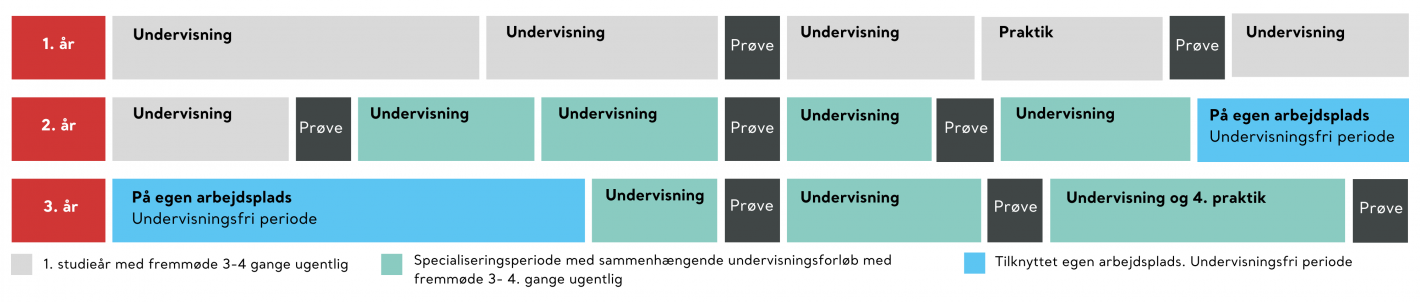 Model der viser opbygningen af meritpædagoguddannelsen med model 1