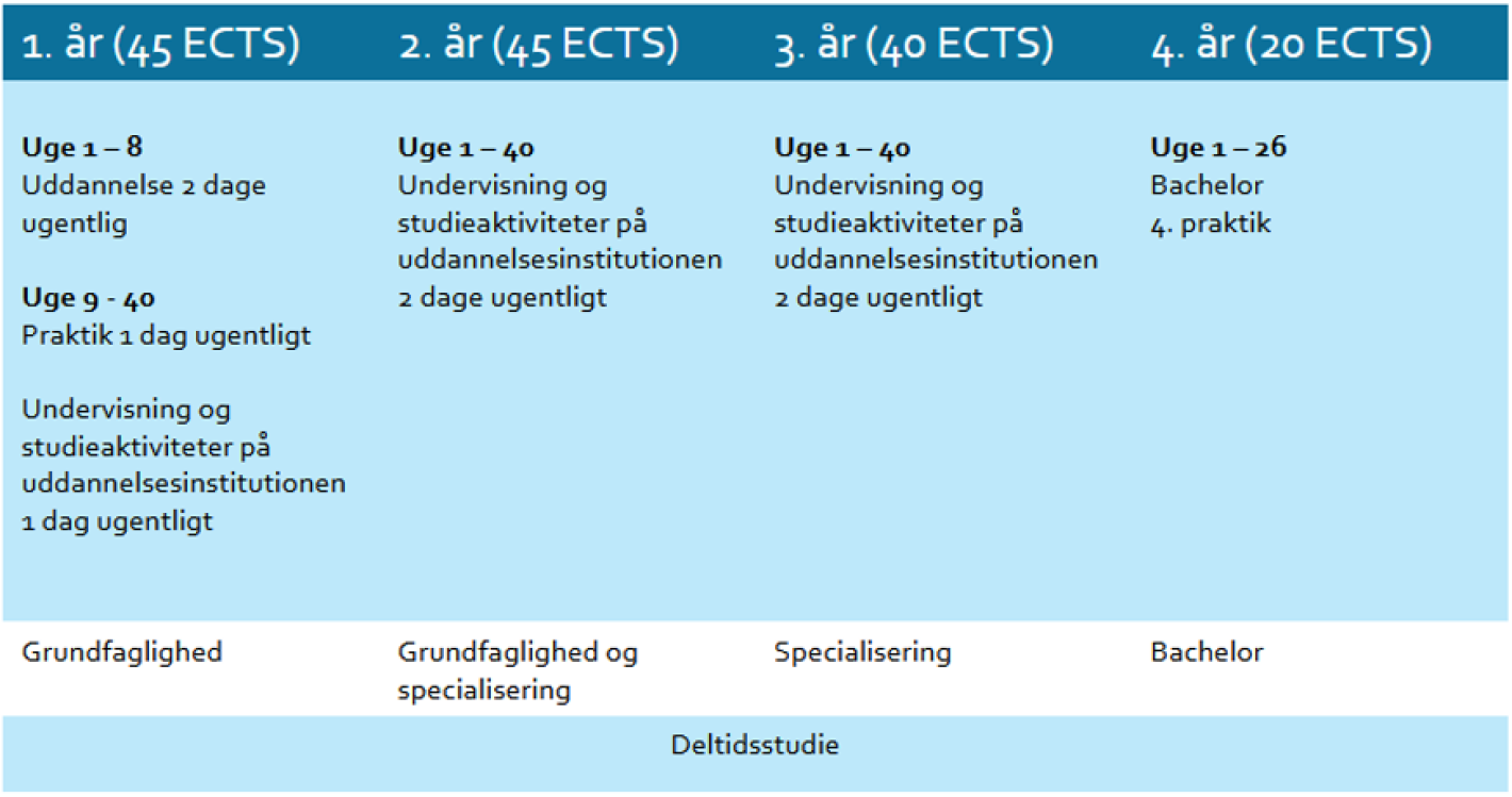 Grafisk figur de viser uddannelsens tilrettelæggelse