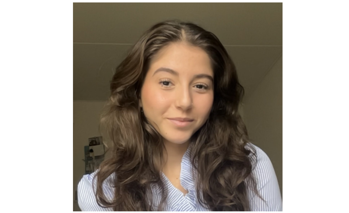 Studenterambassadør