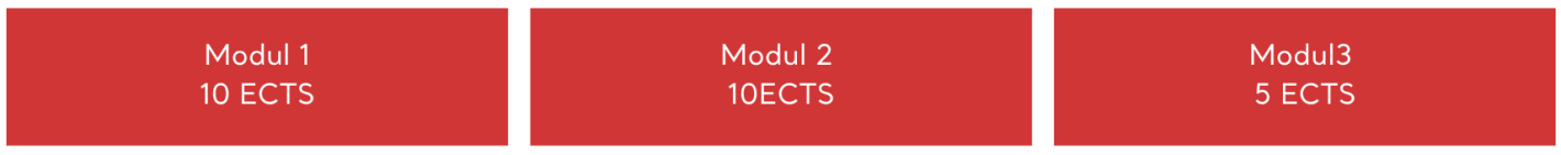 Figur der viser tre obligatoriske moduler på hver 10 ECTS