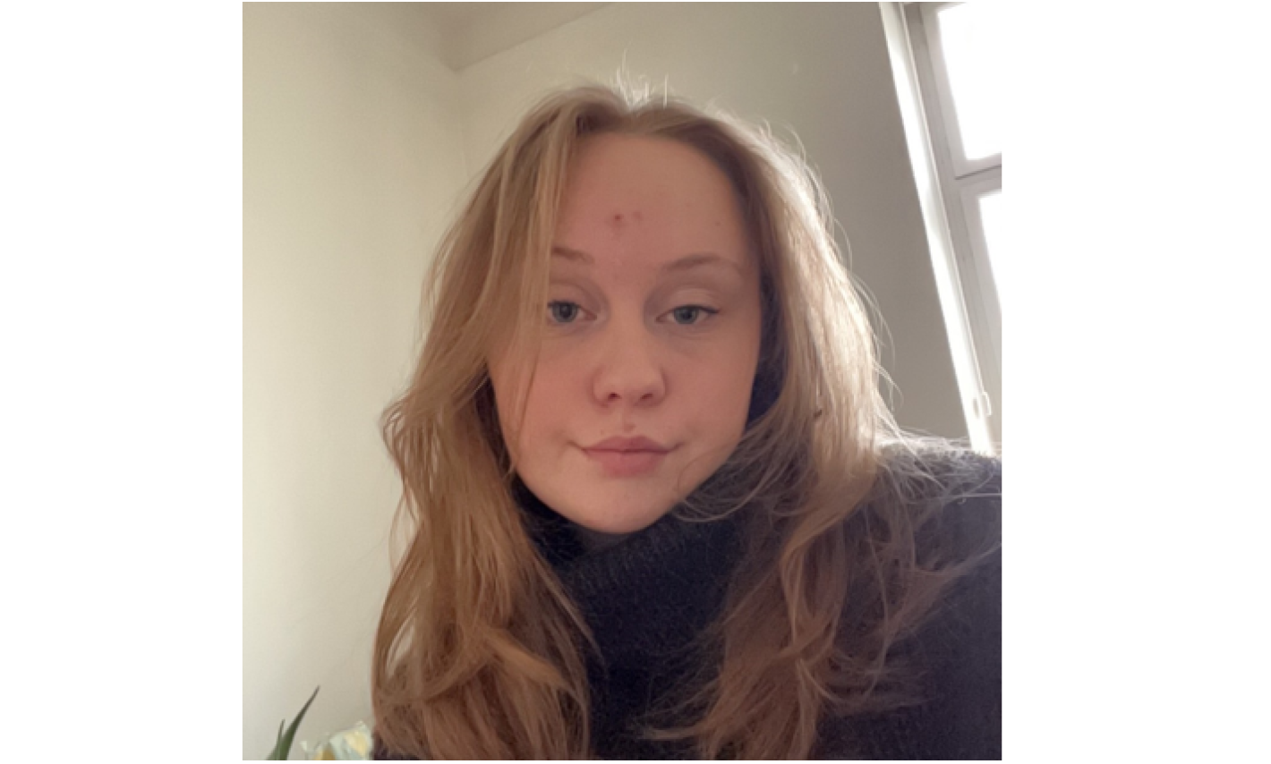 Studenterambassadør