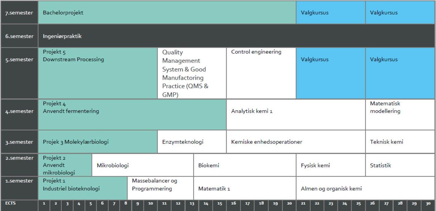 Skema der viser uddannelsen opbygning