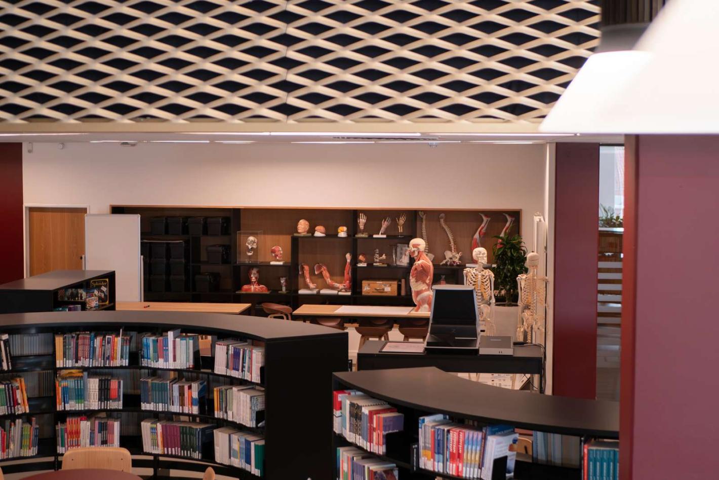Bibliotek Næstved