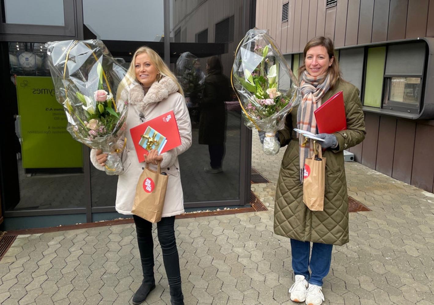 Dimitterende diplomingeniører