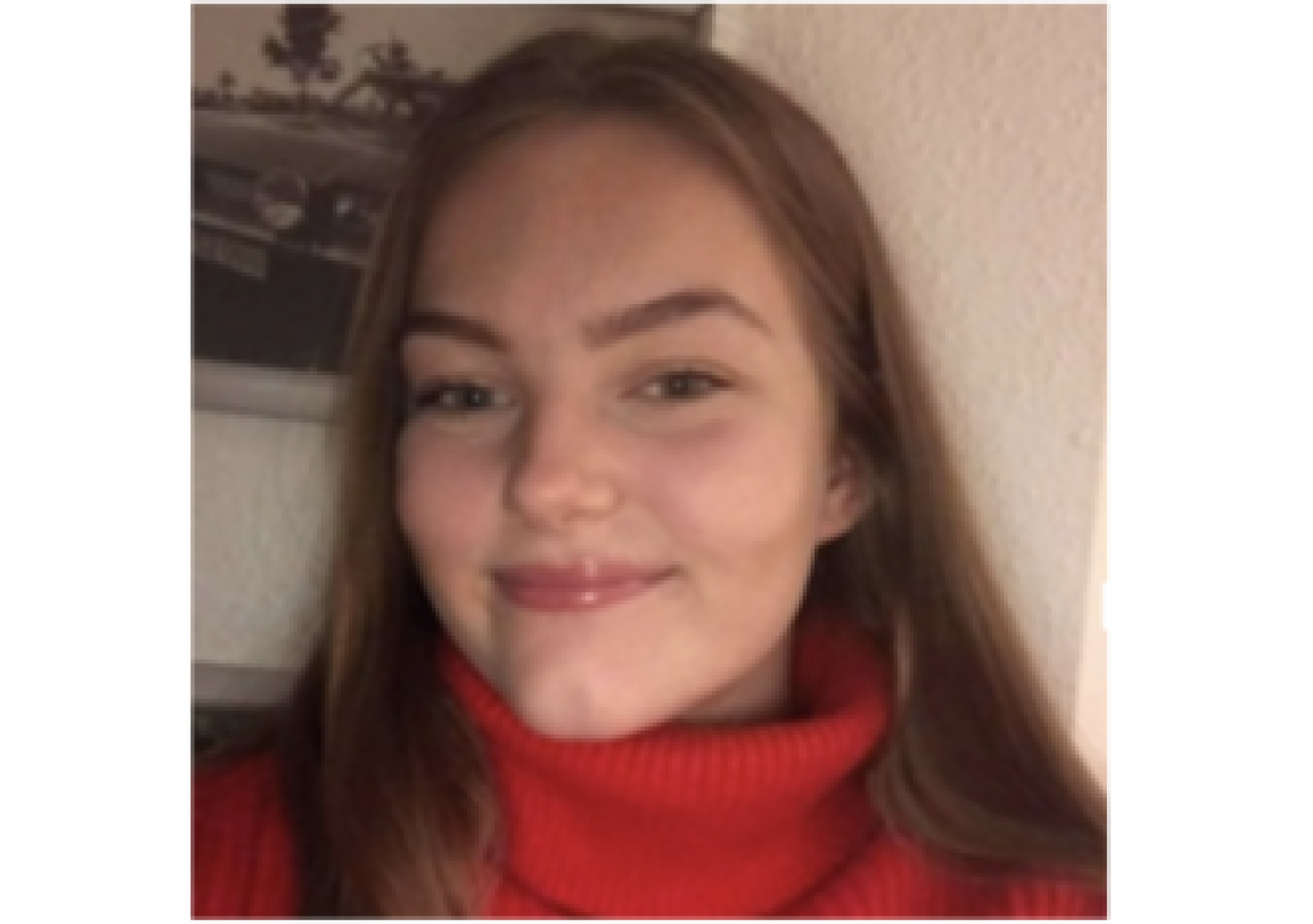 Studenterambassadør