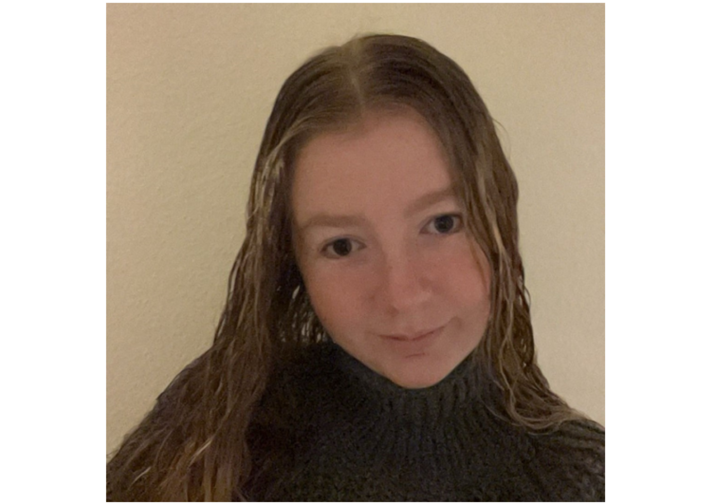 Studenterambassadør