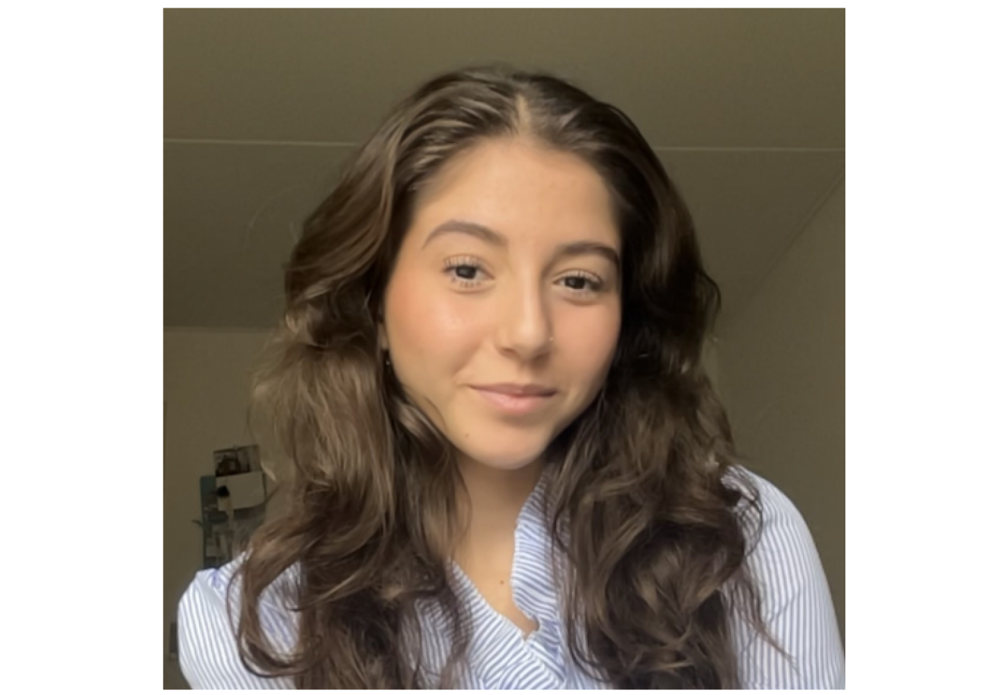 Studenterambassadør