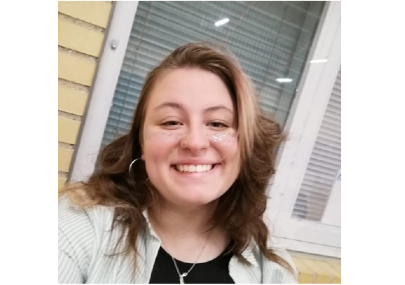Studenterambassadør