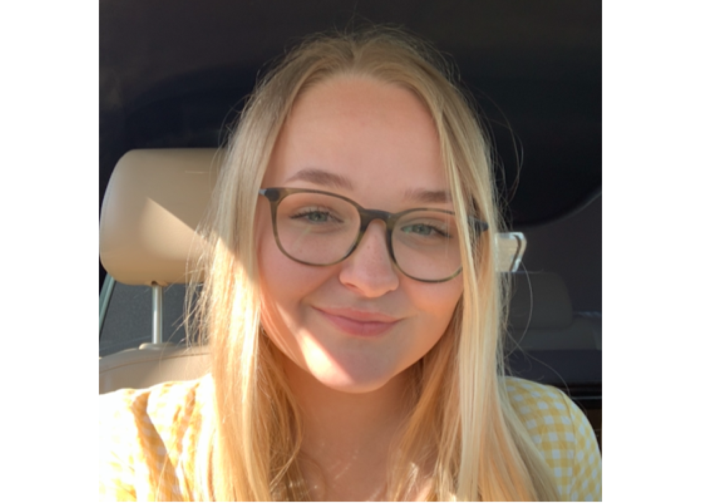 Studenterambassadør
