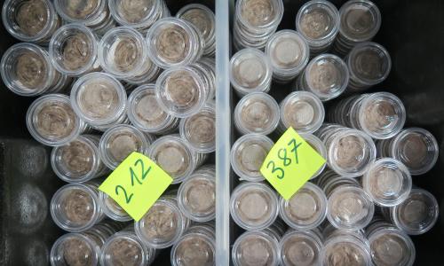Humus1