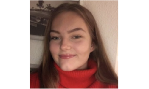 Studenterambassadør