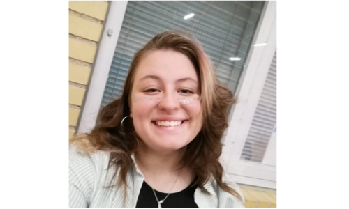 Studenterambassadør