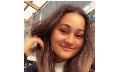 Studenterambassadør