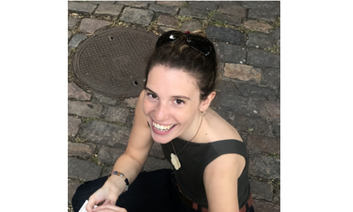 Studenterambassadører